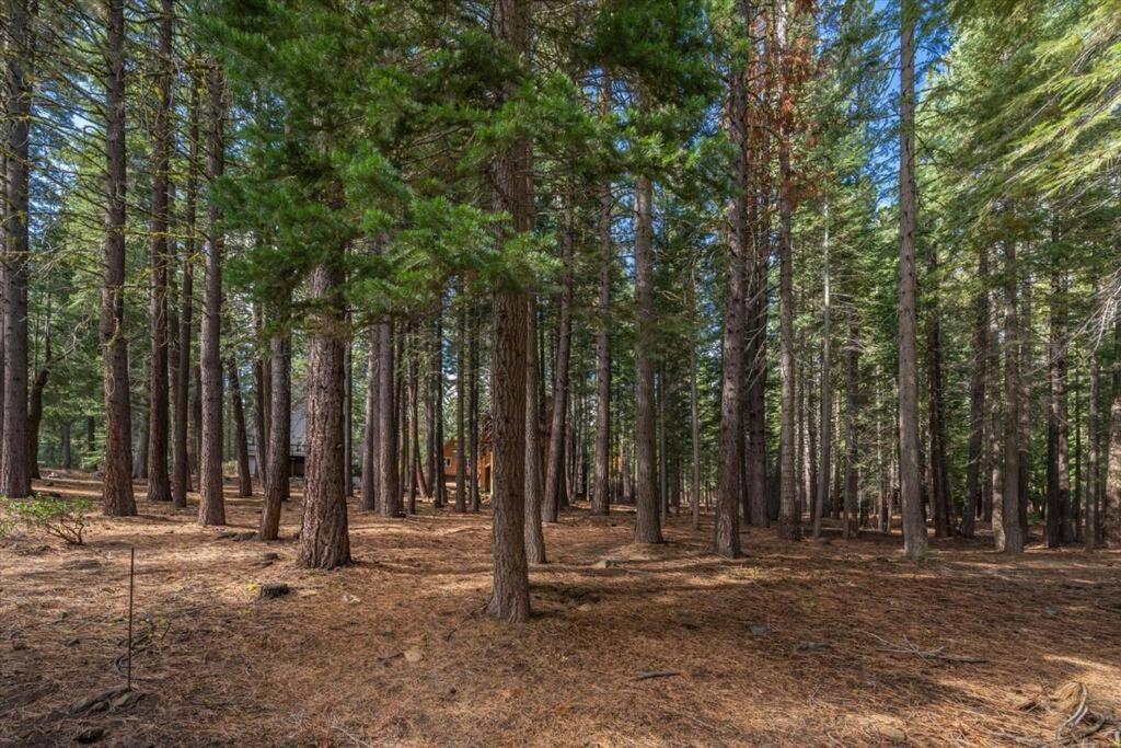 3Br Tahoe Donner Cabin With Hoa Perks Like Pools Hot-Tub Minutes To Trails Lake Golf Truckee Bagian luar foto